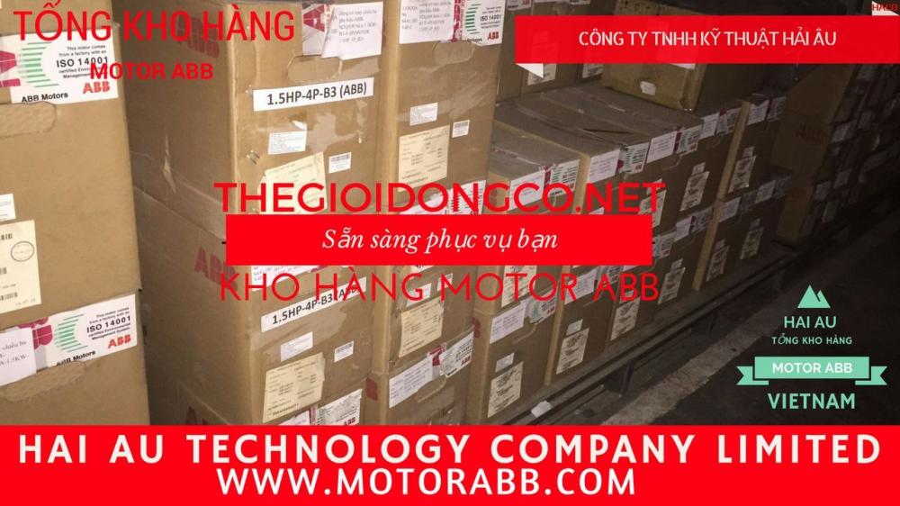 Tổng đại lý Motor ABB-Động cơ điện ABB tại Việt Nam