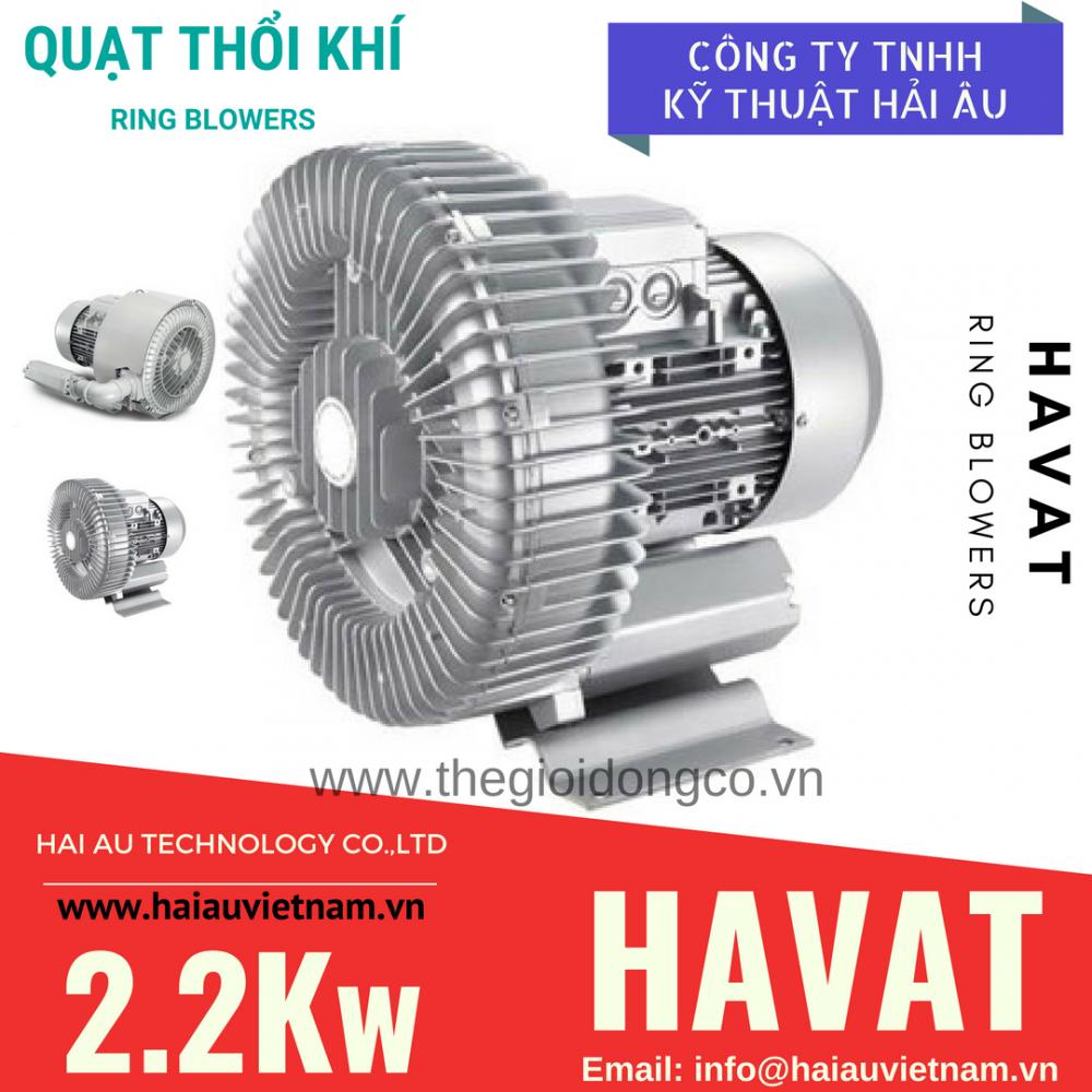 Quạt thổi khí HAVAT 2.2Kw (3HP)