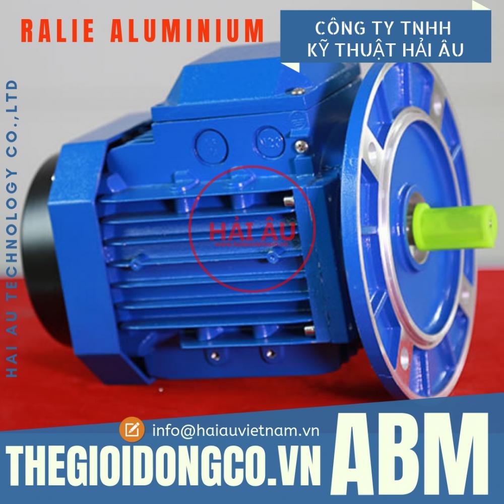 Motor ABM RALIE - Động cơ ABM RALIE (Vỏ Nhôm)