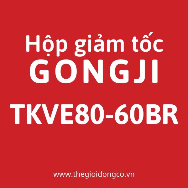 Hộp số giảm tốc GONGJI TKVE80-60BR-D80