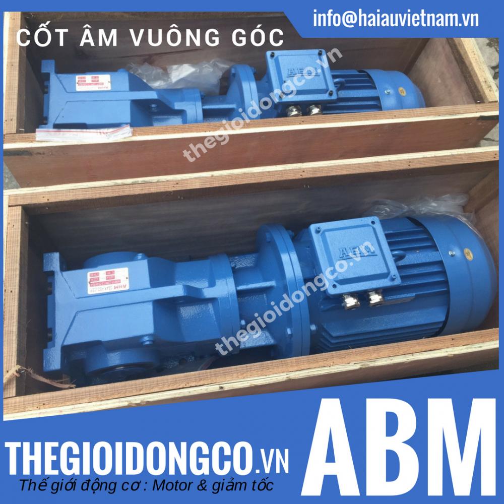 Motor giảm tốc cốt âm vuông góc ABM