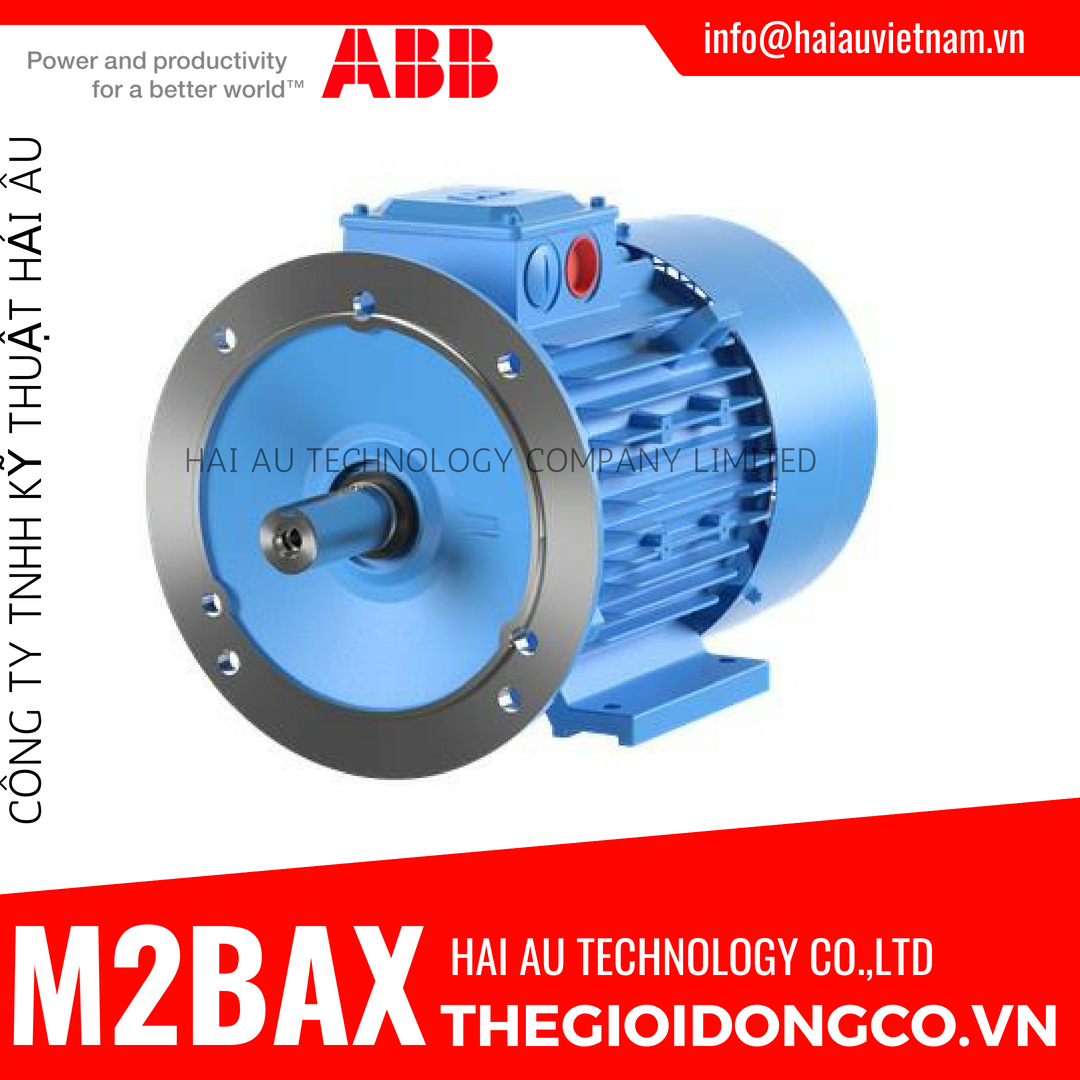 ABB-M2BAX-IM-B35-IM-2001-Chan-de-Mat-Bich