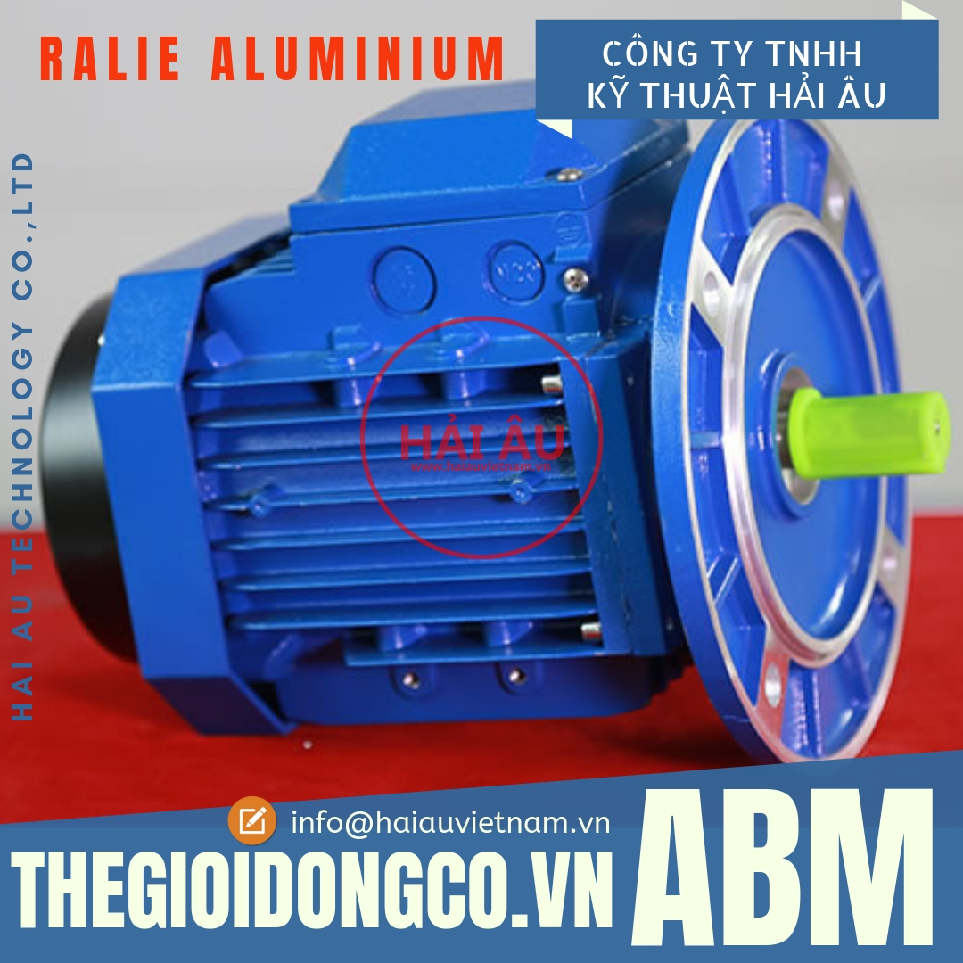 Motor-ABM-RALIE-Dong-co-ABM-RALIE-Vo-Nhom