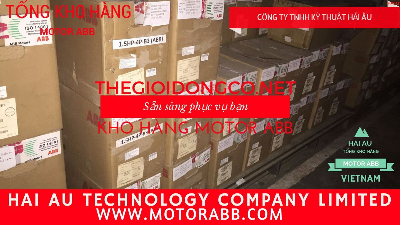 Motor-ABB-Dong-co-dien-ABB-Motors-Tong-dai-ly-Motor-Hai-Au