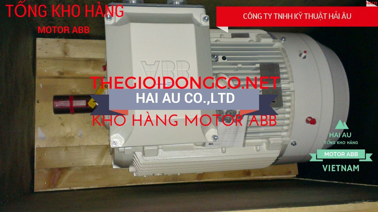 Motor-ABB-Dong-co-dien-ABB-Motors-Tong-dai-ly-Motor-Hai-Au