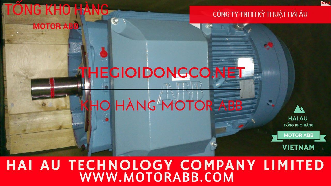 Motor-ABB-Dong-co-dien-ABB-Motors-Tong-dai-ly-Motor-Hai-Au